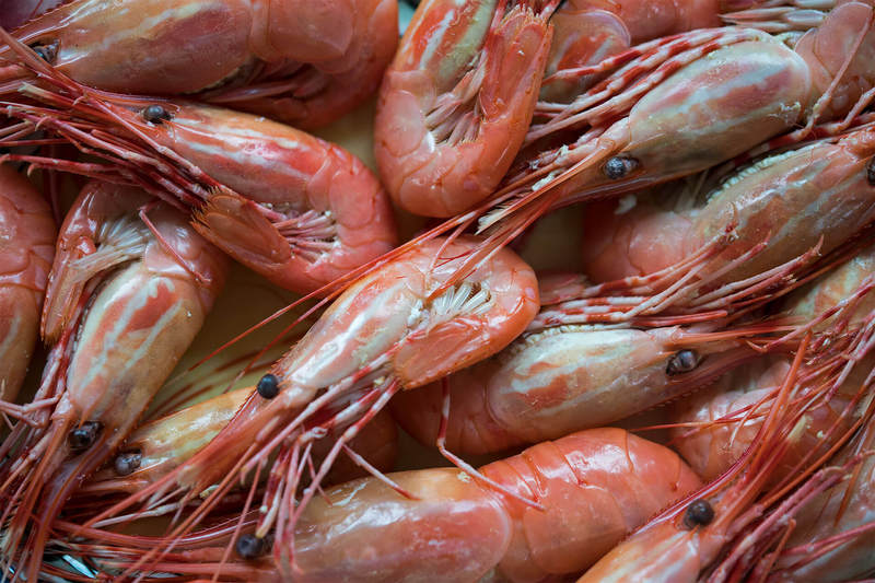 Fresh Victoria Prawns